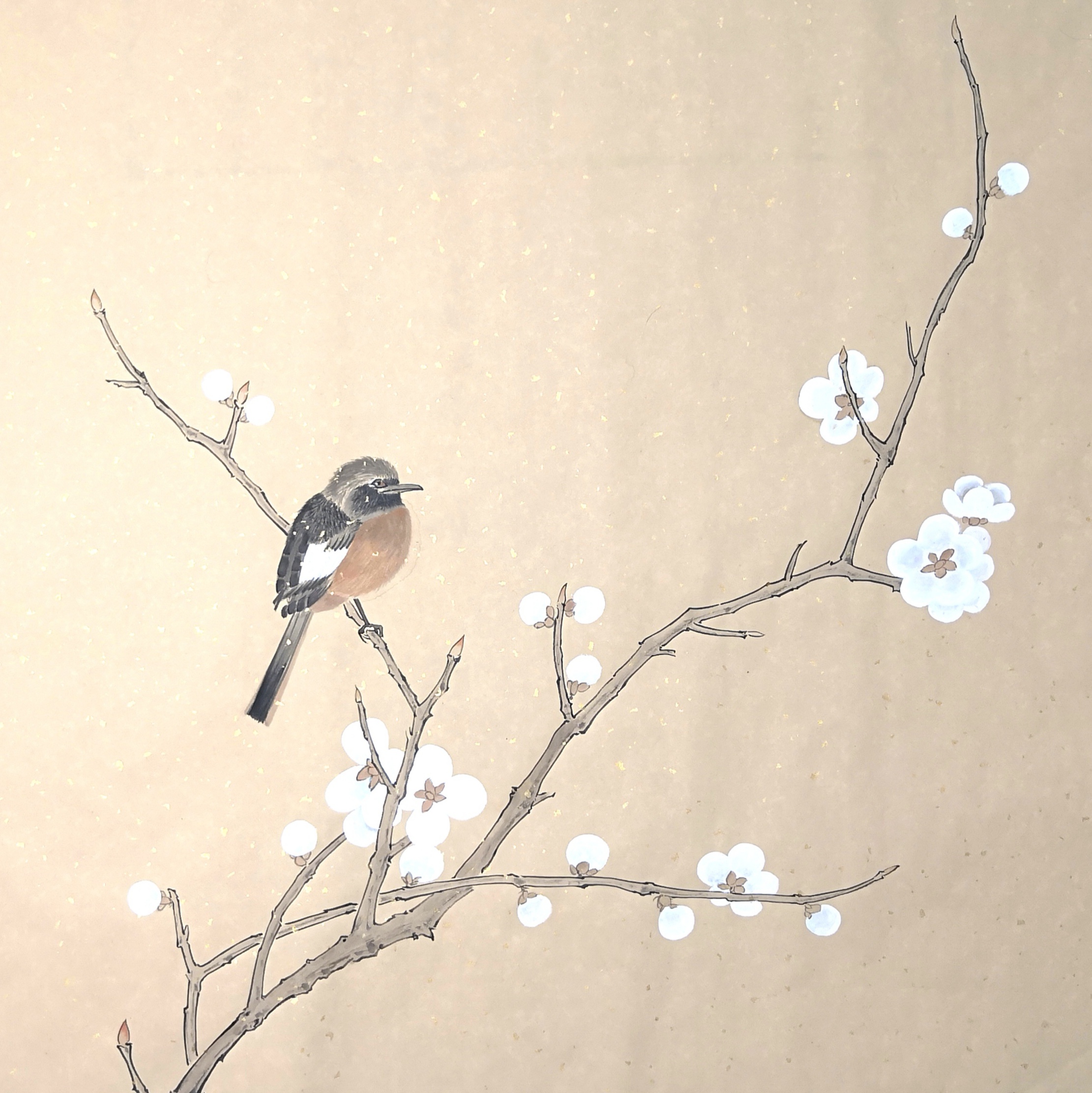 梅花枝头栖鸟花鸟小品作品